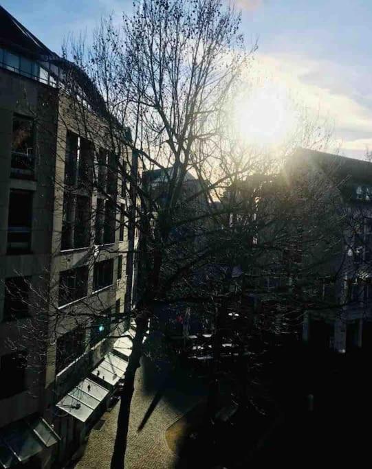 Charmantes 1Zi Apartment Im Herzen Von Braunschweig Mit Balkon Esterno foto